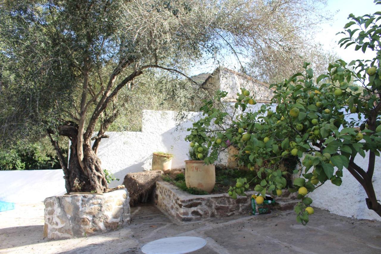 Gasthaus Cortijo El Puente Viñuela Exterior foto
